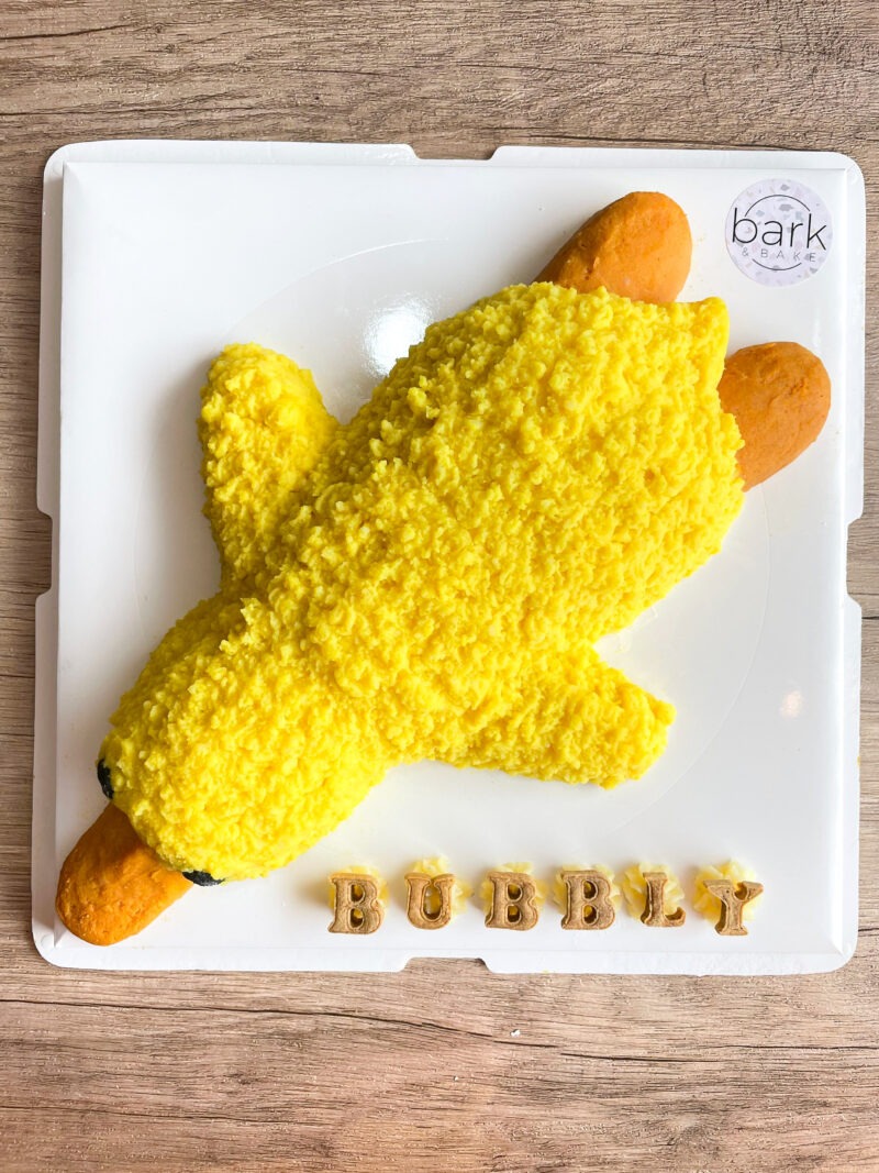 Duck "Plushie" Cake - Image 2