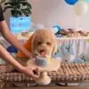 Om-nom-Ombre Cake - Image 2