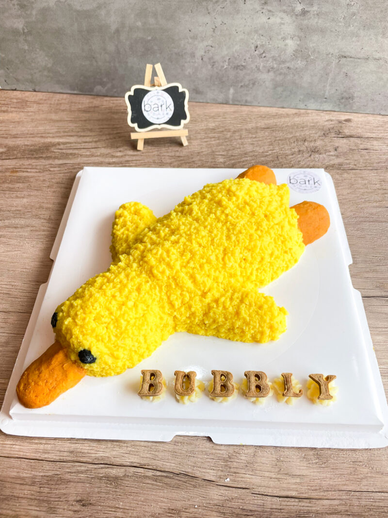 Duck "Plushie" Cake