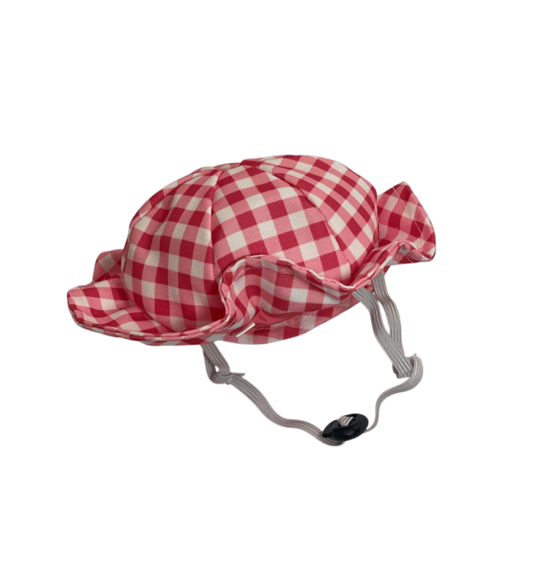 Picnic Hat