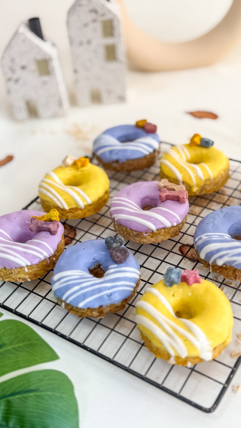 Dognuts with Charms